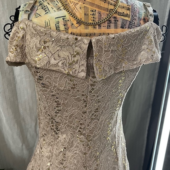 Cachet Sequin Lace Gown in Tan and Gold - Picture 6 of 10
